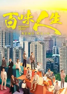 都市夜归人 都市职场剧免费在线观看